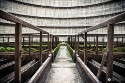 thomas daems - photographie industrielle - urban exploration - galerie - cooling towers (4)