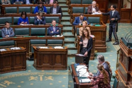 Séance plénière - Parlement fédéral