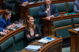 Séance plénière - Parlement fédéral