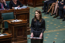 Séance plénière - Parlement fédéral