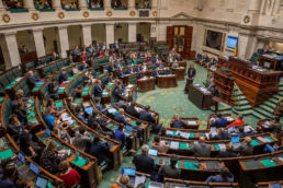 Séance plénière - Parlement fédéral