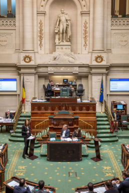 Séance plénière - Parlement fédéral