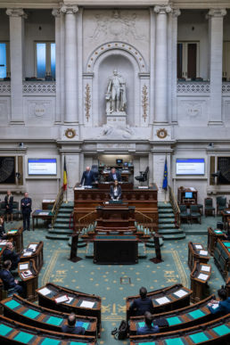 Séance plénière - Parlement fédéral