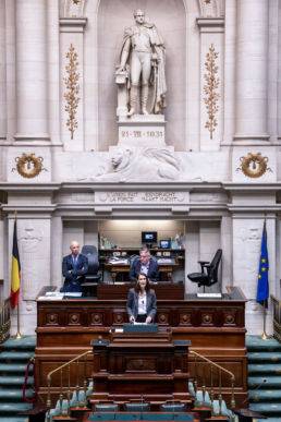 Séance plénière - Parlement fédéral