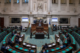 Séance plénière - Parlement fédéral